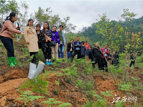 全国 最美林草科技推广员 刘蕾 把科技论文写在赣鄱大地上